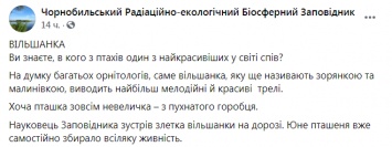 В Чернобыльском заповеднике показали одну из самых талантливых птиц среди пернатых певиц