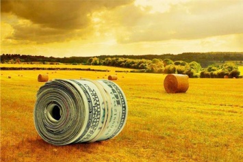 От подсолнечника до свеклы: названы самые рентабельные и убыточные отрасли сельского хозяйства в Украине