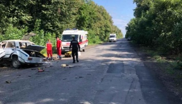 В Винницкой области в результате автомобильной аварии погибли два человека