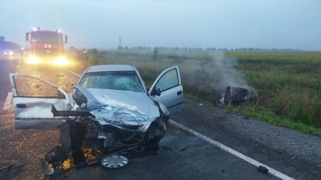 На трассе под Мелитополем в результате ДТП загорелся автомобиль, водитель и пассажиры погибли, - ФОТО