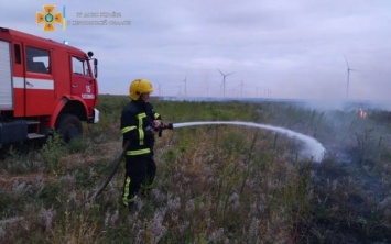 Чаплынские спасатели потушили пожар сухостоя