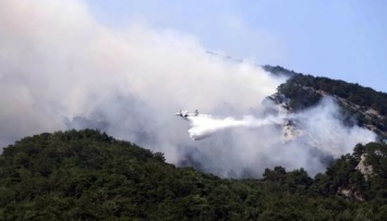 В Турции вспыхнули новые лесные пожары