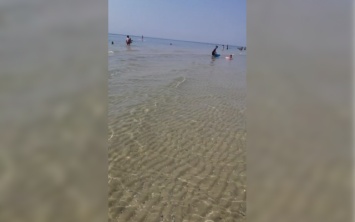 Теплая вода почти без медуз: херсонцы показали как сегодня выглядит море в Лазурном
