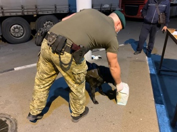 Украинец пытался ввезти из РФ почти 3 кг наркотиков