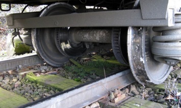 На Львовщине сошли с рельсов грузовые вагоны: ряд поездов задерживаются