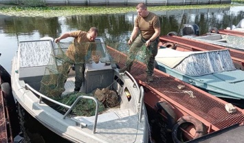 В Запорожской области несколько сотен раков выпустили из ловушек в Каховское водохранилище