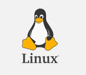 Эксперты перечислили 15 самых атакуемых уязвимостей в Linux