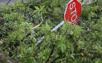 Из-за грозы более четырех километров дороги на Херсонщине завалены деревьями