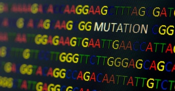 Британские ученые вычислили частоту мутации SARS-CoV-2