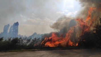В Симферопольском районе сгорело 30 гектар сухой растительности