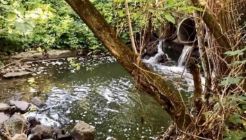Житомирский водоканал продолжает сбрасывать неочищенные стоки в реку Тетерев