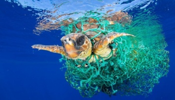 Количество пластика в океане в 20 лет может увеличиться втрое - ООН