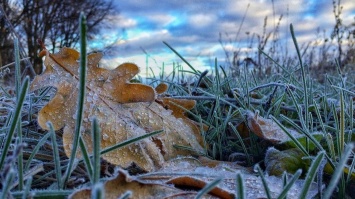 Заморозки в Кривом Роге: чего еще ждать от погоды