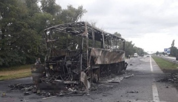 На Житомирщине автобус столкнулся с грузовиком - есть погибший