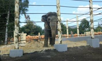 В Харьковском зоопарке проведут бесплатные экскурсии для горожан с проблемами слуха. Как на них попасть