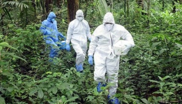 В Индии выявили вспышку смертельно опасного вируса Nipah