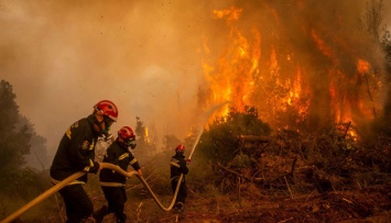 В Испании огонь уничтожил почти 1000 гектаров леса - подозревают поджог
