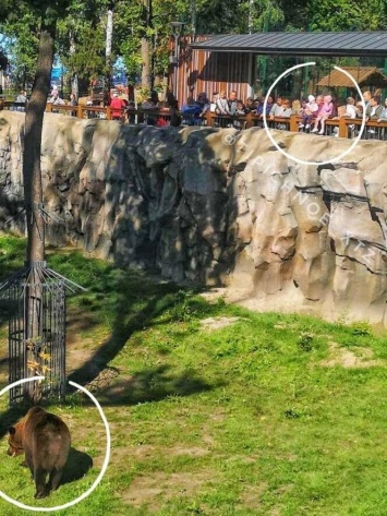 В Харьковском зоопарке посетитель посадил двух детей на барьер вольера для медведей: сотрудники провели с ним беседу, - ФОТО