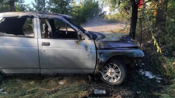 На запорожской трассе автомобиль влетел в дерево и загорелся - фото