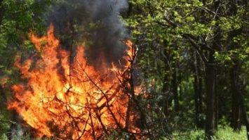 В Украине объявили пожарную опасность: список областей