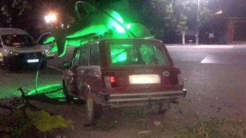 В Кирилловке пьяный водитель протаранил скульптуру "Дельфины" (фото)
