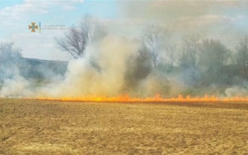 На Харьковщине за последние сутки спасатели тушили три десятка пожаров на открытых территориях, - ФОТО