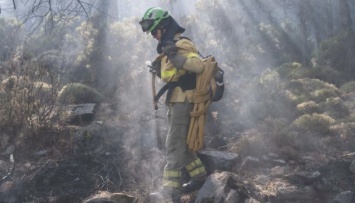 В Испании в результате пожаров выгорели почти 7,5 тысячи гектаров леса
