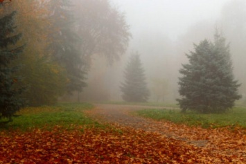 ​С туманами и дождями: в Украине резко похолодает