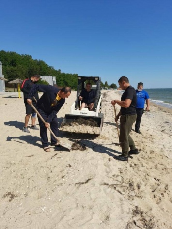 В курортном поселке под Мариуполем с пляжа убрали 300 кг мусора, - ФОТО
