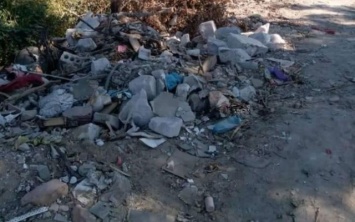 Жители Херсона бьют тревогу: плавни на Острове продолжают превращать в мусорную свалку