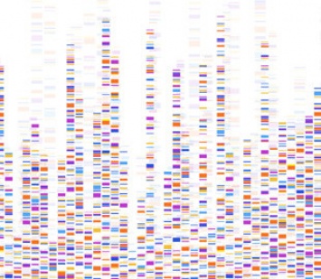 Исследователи смогли расшифровать ДНК на обычном компьютере