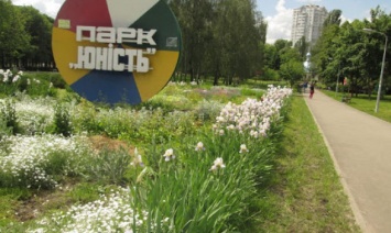 Мэра Киева просят не допустить застройки проданного недавно на аукционе участка в парке "Юность"