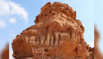 В Саудовской Аравии нашли скульптуры верблюдов - старше Стоунхенджа и пирамид
