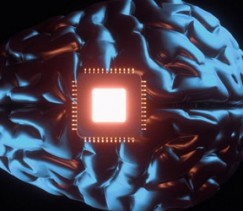 Ученые предложили вживить сотни микрочипов в человеческий мозг