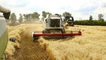 Рекордный урожай: Украина уже собрала почти 46 миллионов тонн зерна