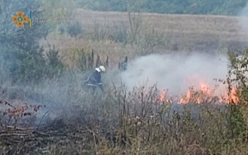 Сорок гектар огня: на Харьковщине за сутки спасатели тушили почти шесть десятков пожаров на открытых территориях, - ФОТО