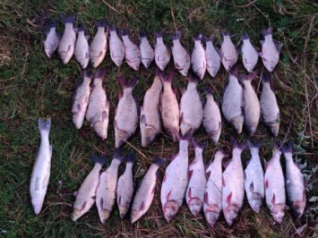 В Николаевской области на Южном Буге поймали браконьера с краснокнижной рыбой