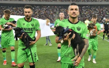 Румынские футболисты будут выходить на поле с бездомными собаками на руках
