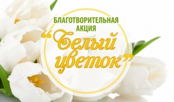 Судак присоединится к акции «Белый цветок»