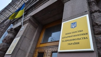 В Украине снизились отпускные цены на овощи, крупы и сахар - Минагро