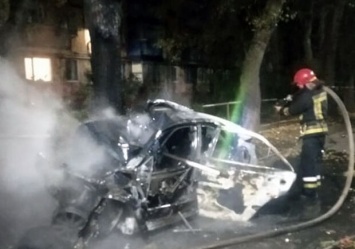 Погибла женщина: машина влетела в дерево и загорелась