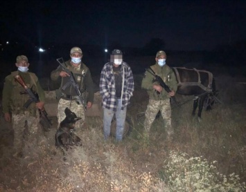 В Одесской области на границе задержали молдаванина с конем и телегой,- ФОТО