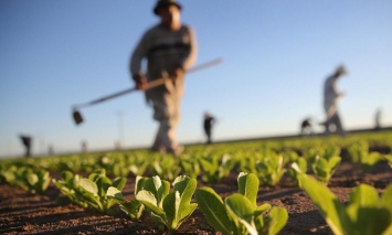 Семейные фермерские хозяйства получили 400 тысяч компенсации ЕСВ - Минагро