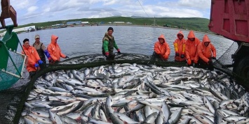 В России повысят ставки за ловлю водных биоресурсов