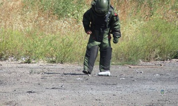 В Запорожской области пиротехники обезвредили 14 взрывоопасных предметов