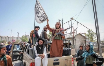 "Крайне необходимо", - талибы заявили, что будут по-прежнему отрубать руки