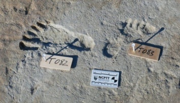 Ученые нашли в США человеческие следы, которым более 20 тысяч лет