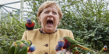 На Меркель напал попугай во время посещения птичьего парка