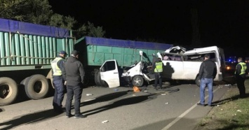 Под Николаевом микроавтобус столкнулся с грузовиком: четверо погибли, семеро пострадали