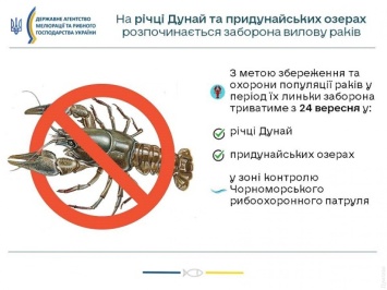 На Дунае и в придунайских озерах запретили ловить раков